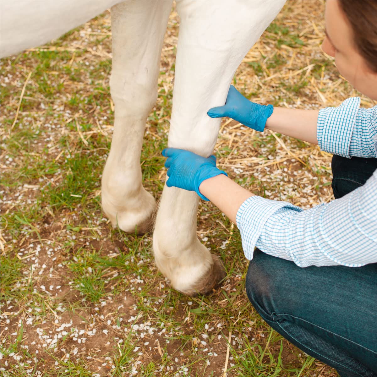 MagnaGard Liniment Gel applied to horse muscle during massage.