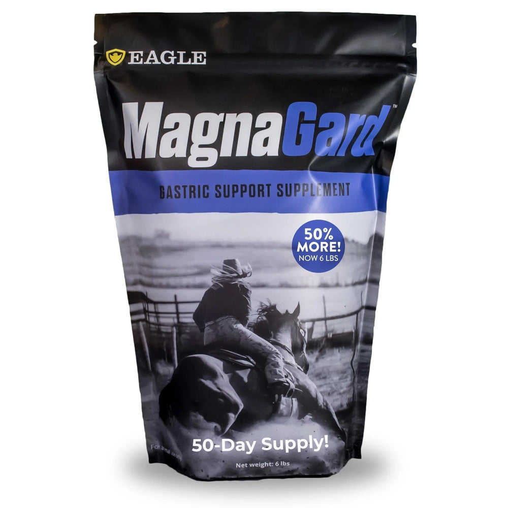 MagnaGard gastric bottle pour demonstrates calming support for anxious horses.