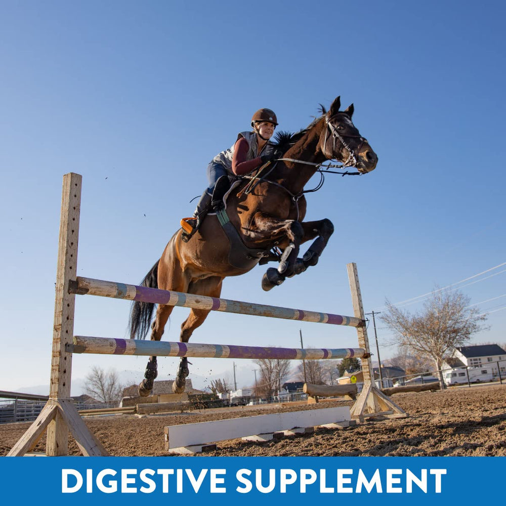 MagnaGard horse appears relaxed after feeding MagnaGard, suggesting calming benefits.