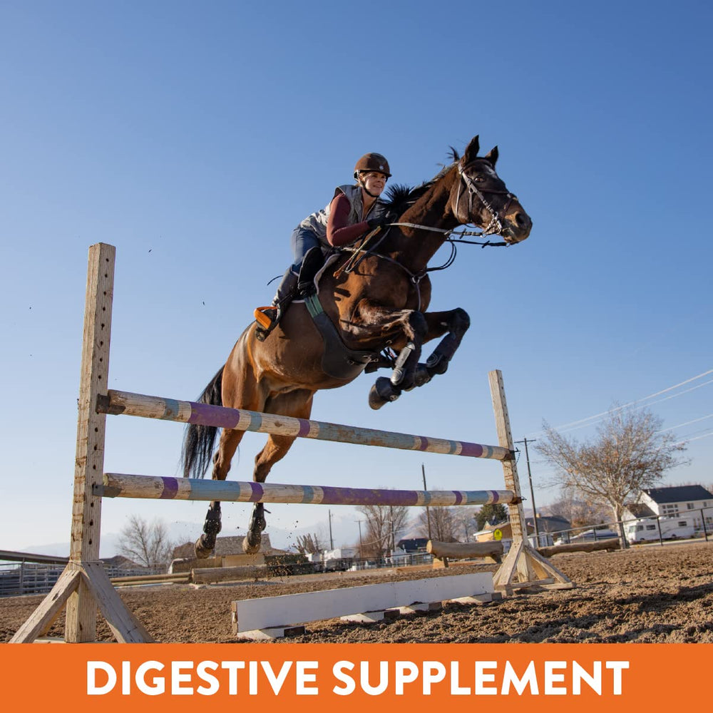 Magnagard Plus minerals focus on calcium and magnesium for strength.