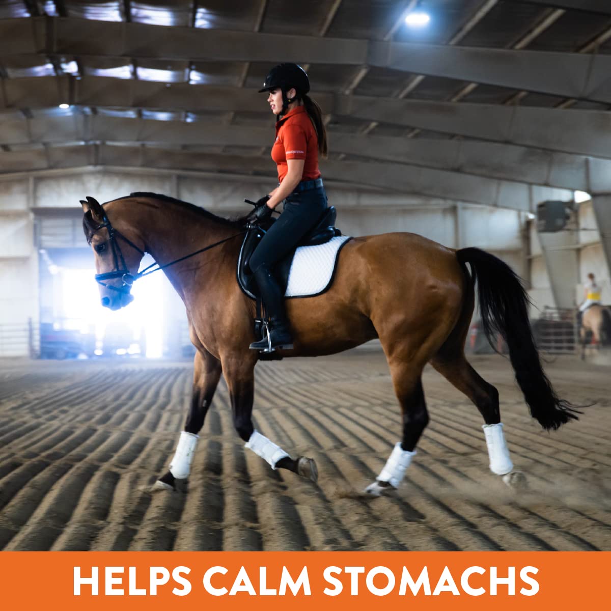 Magnagard Plus omega-3 coat shine highlights healthier-looking, glossy coat.