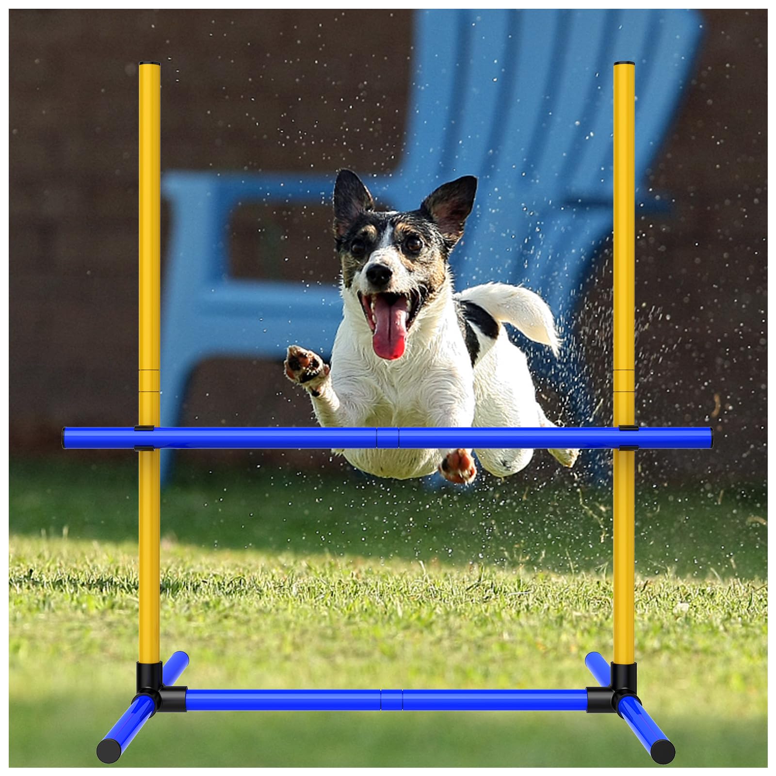 MAICOBI dog agility hurdles set up in outdoor yard for versatile training.