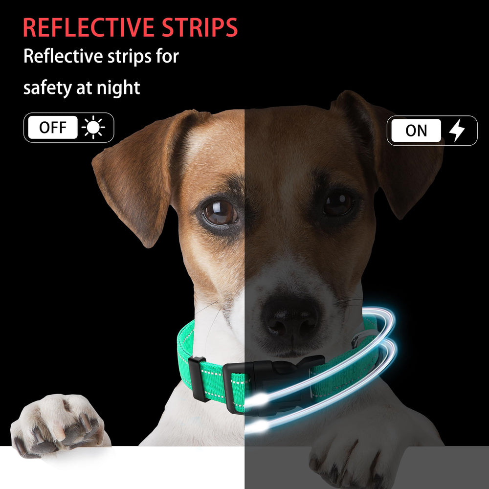 Maiiu adjustable collar length demonstrates a customizable fit for growing dogs.