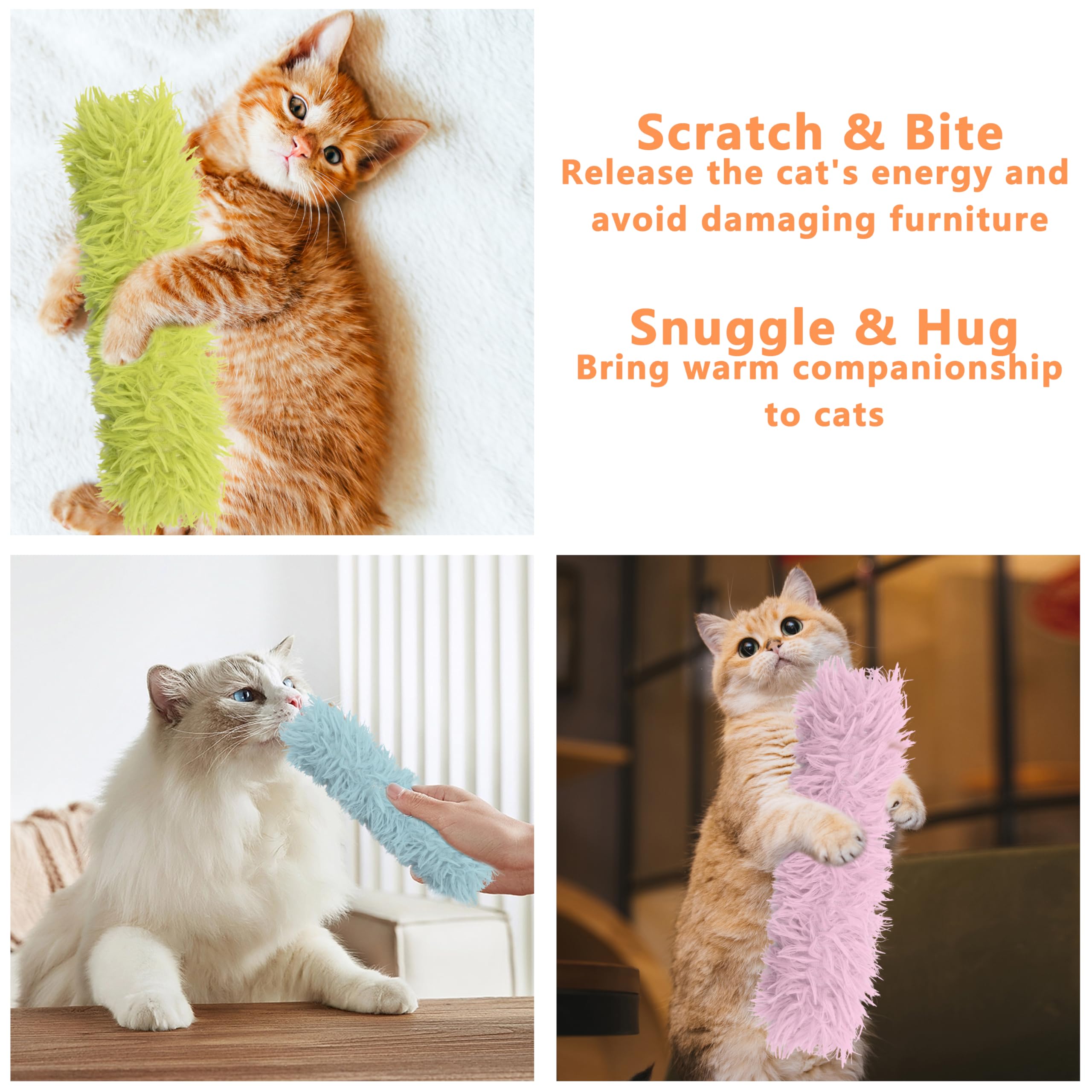 Maiiu cat interaction playtime image demonstrates bonding moments with owners.