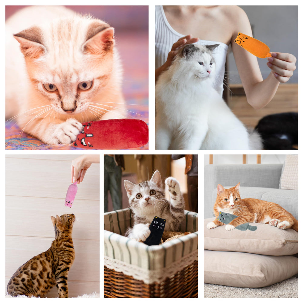 Maiiu catnip toys durable chew built to withstand playful biting