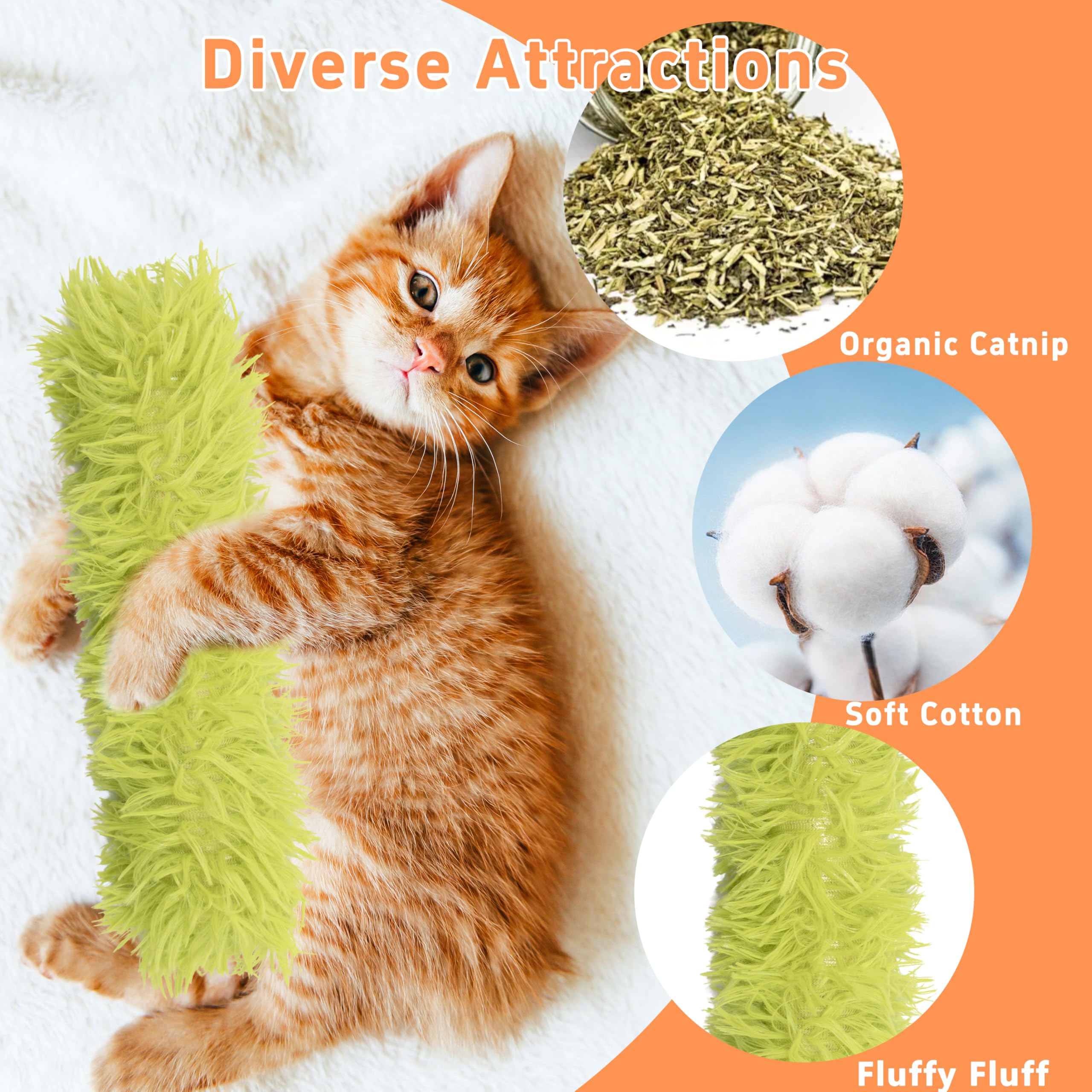 Maiiu catnip toys green set highlights colorful fetch-ready play.