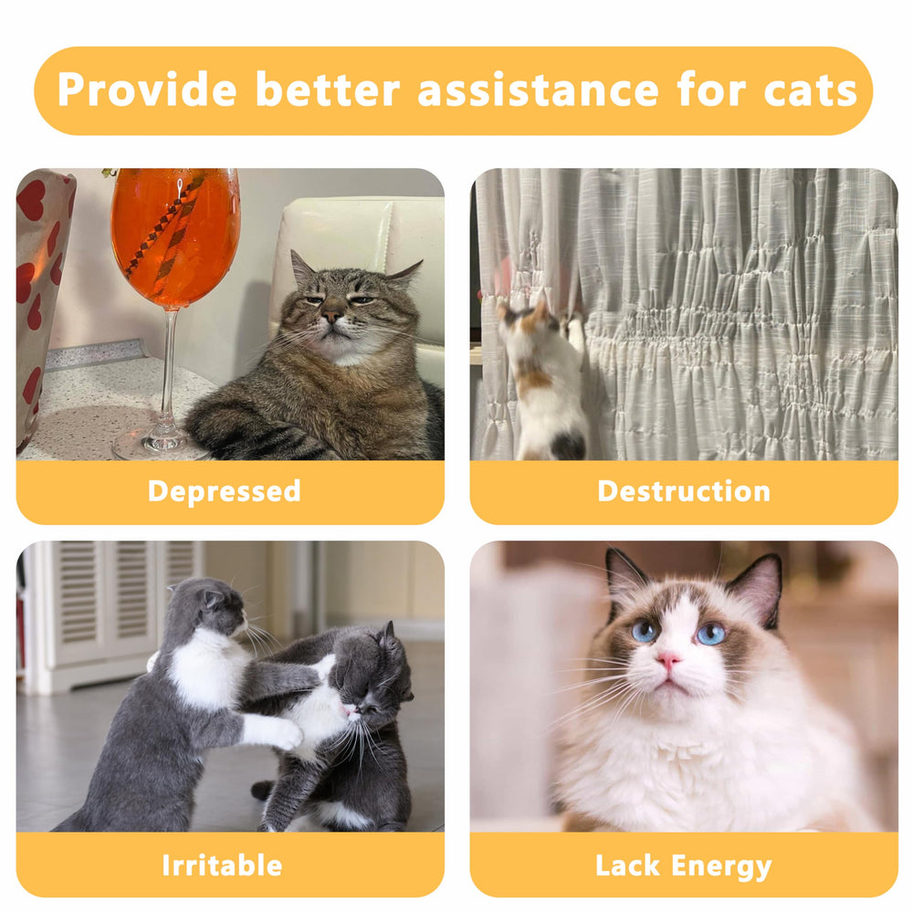 Maiiu catnip toys rich colors styles offers varied play options