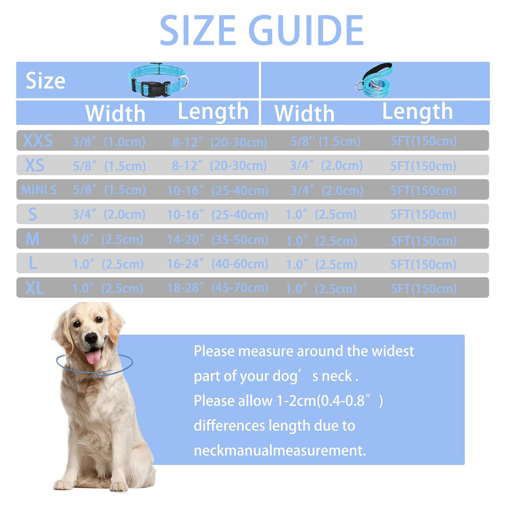Maiiu leash-friendly collar paired with cushioned handle for comfortable one-handed control