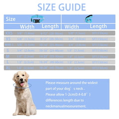Maiiu leash-friendly collar paired with cushioned handle for comfortable one-handed control