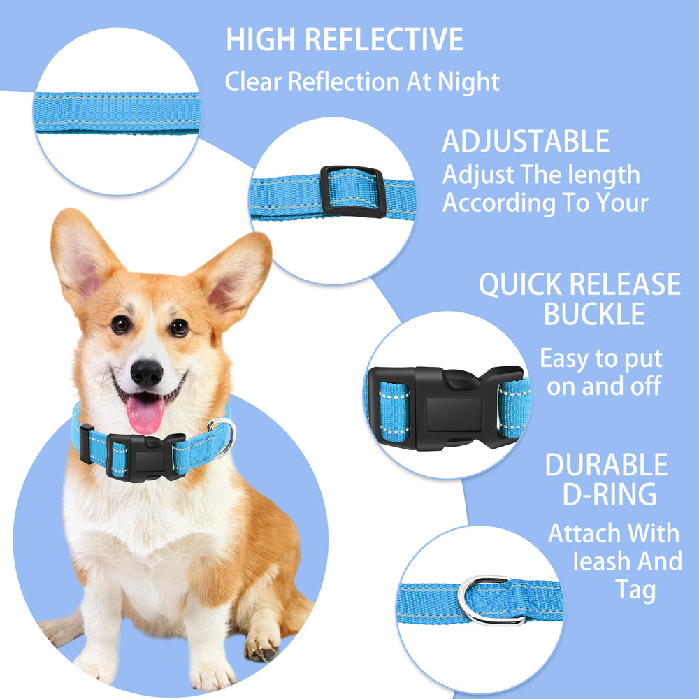 Maiiu collar shows two reflective lines to help spot your dog during evening walks