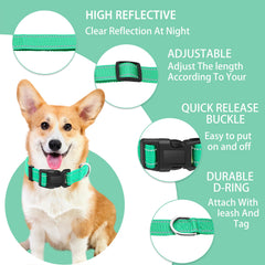 Maiiu safety-locking buckle collar close-up shows secure, easy on-off design.