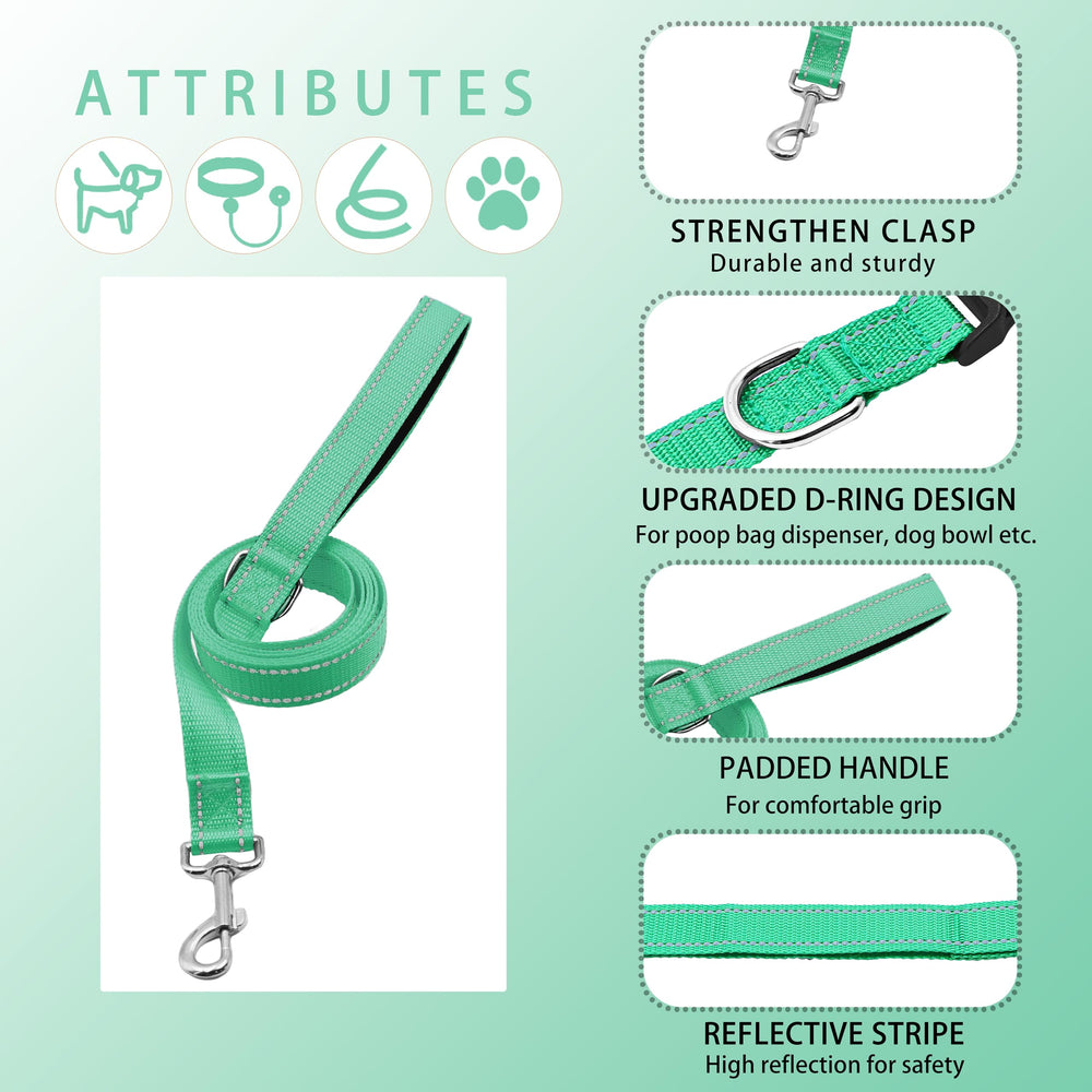 Maiiu leash with soft cushioned handle enables comfortable control during walks.