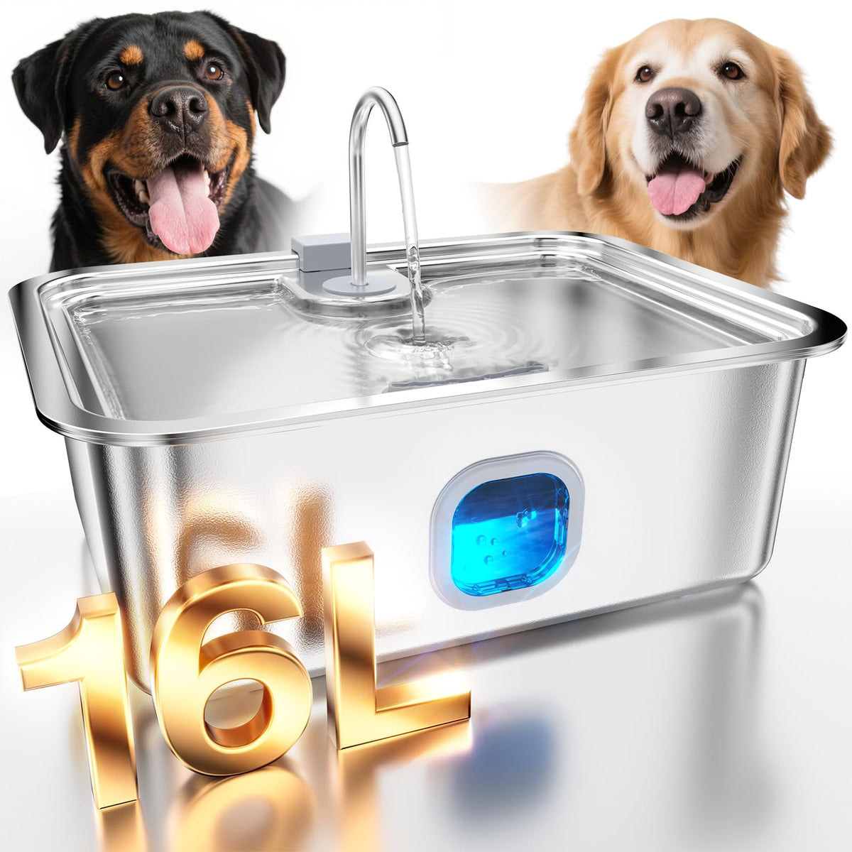 MAILOFY 4.2Gal fountain tank view shows capacity for easy refill planning.