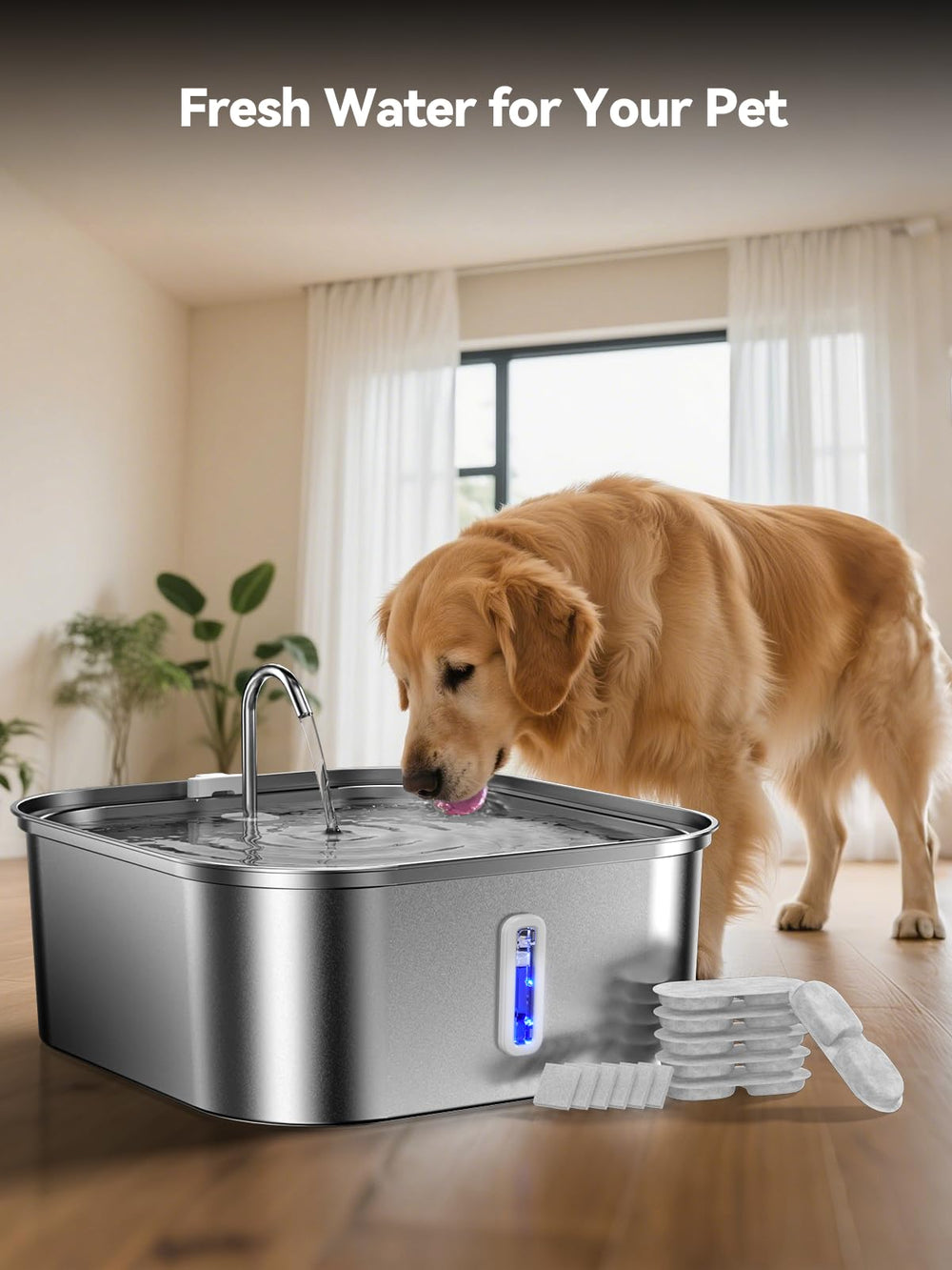 MAILOFY fountain in use with multiple pets ensuring steady hydration