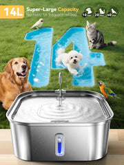 MAILOFY large dog water fountain square design maximizing capacity while saving space