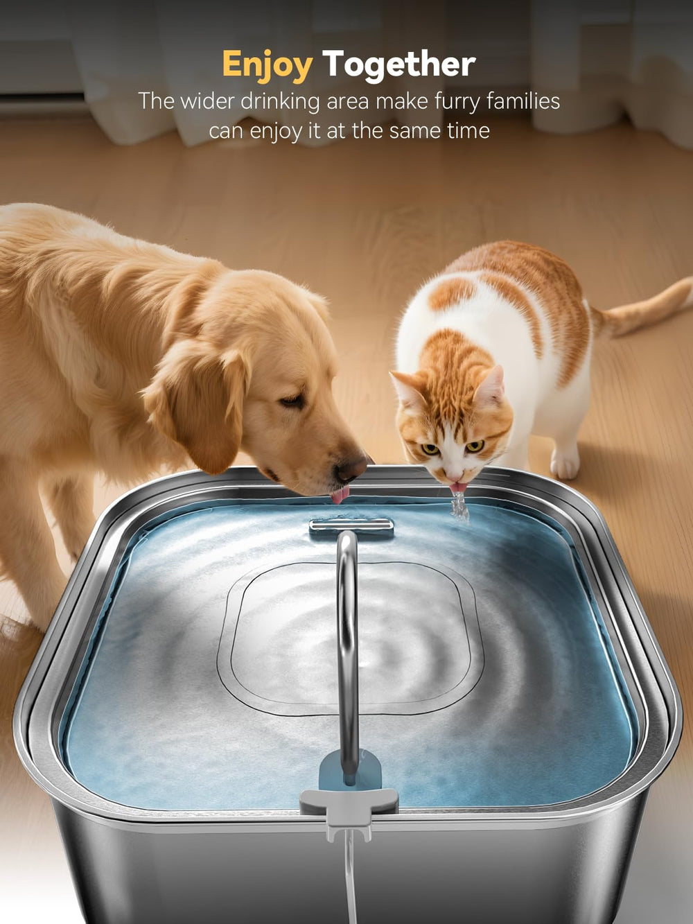 MAILOFY 4-layer filtration system maintains fresher water for pets