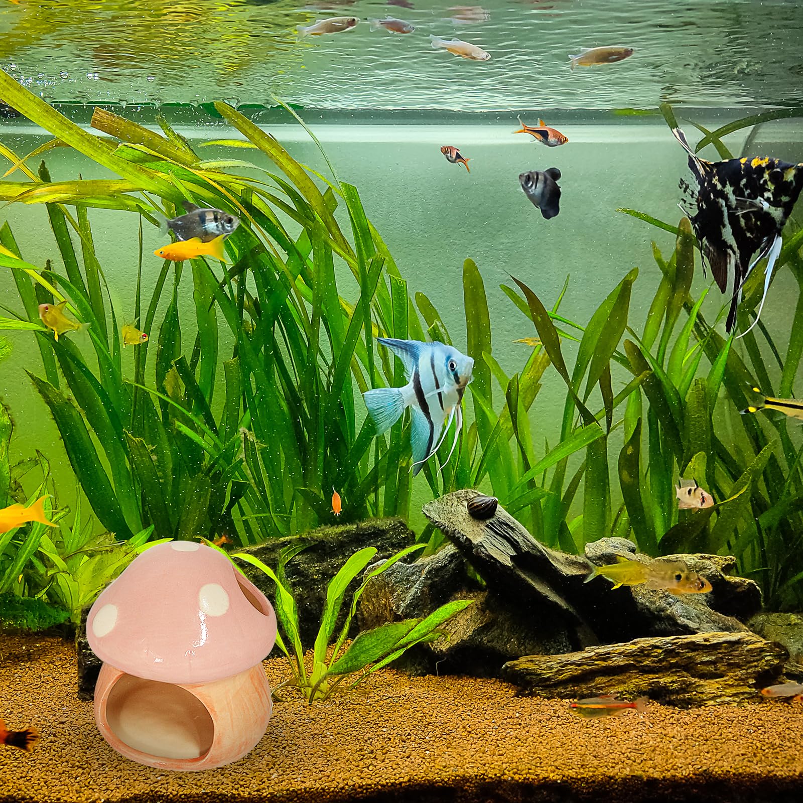 Mairuker pink mushroom house in-aquarium demonstrates decorative charm plus functional shelter for small aquatic life.
