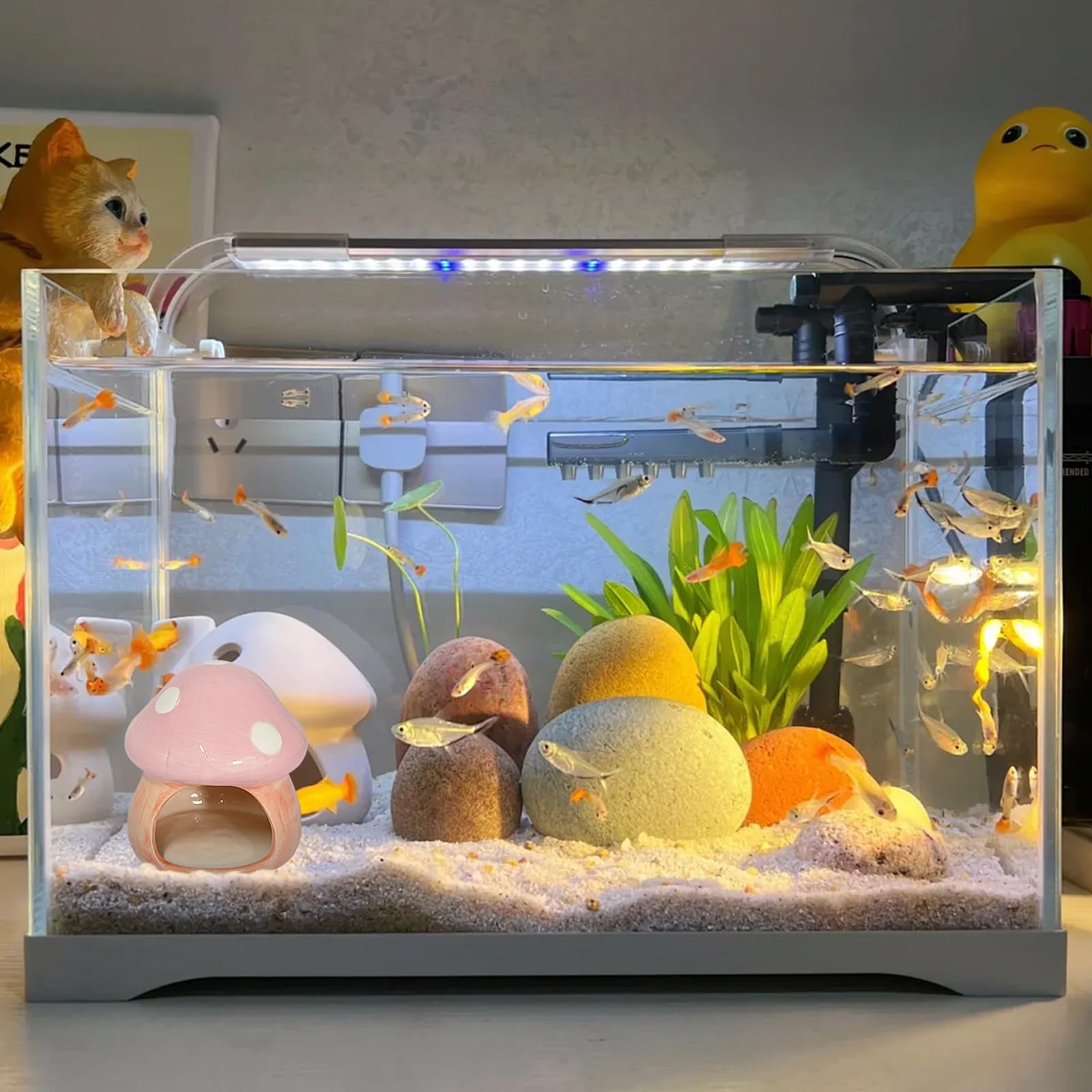 Mairuker pink mushroom house with fish image conveys cozy hideouts and peaceful aquarium ambience.