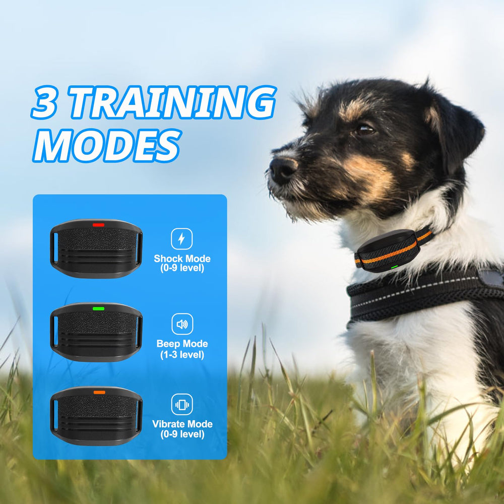 MAISOIE ultra-small dog shock collar adjustable strap enables a snug fit for growing dogs