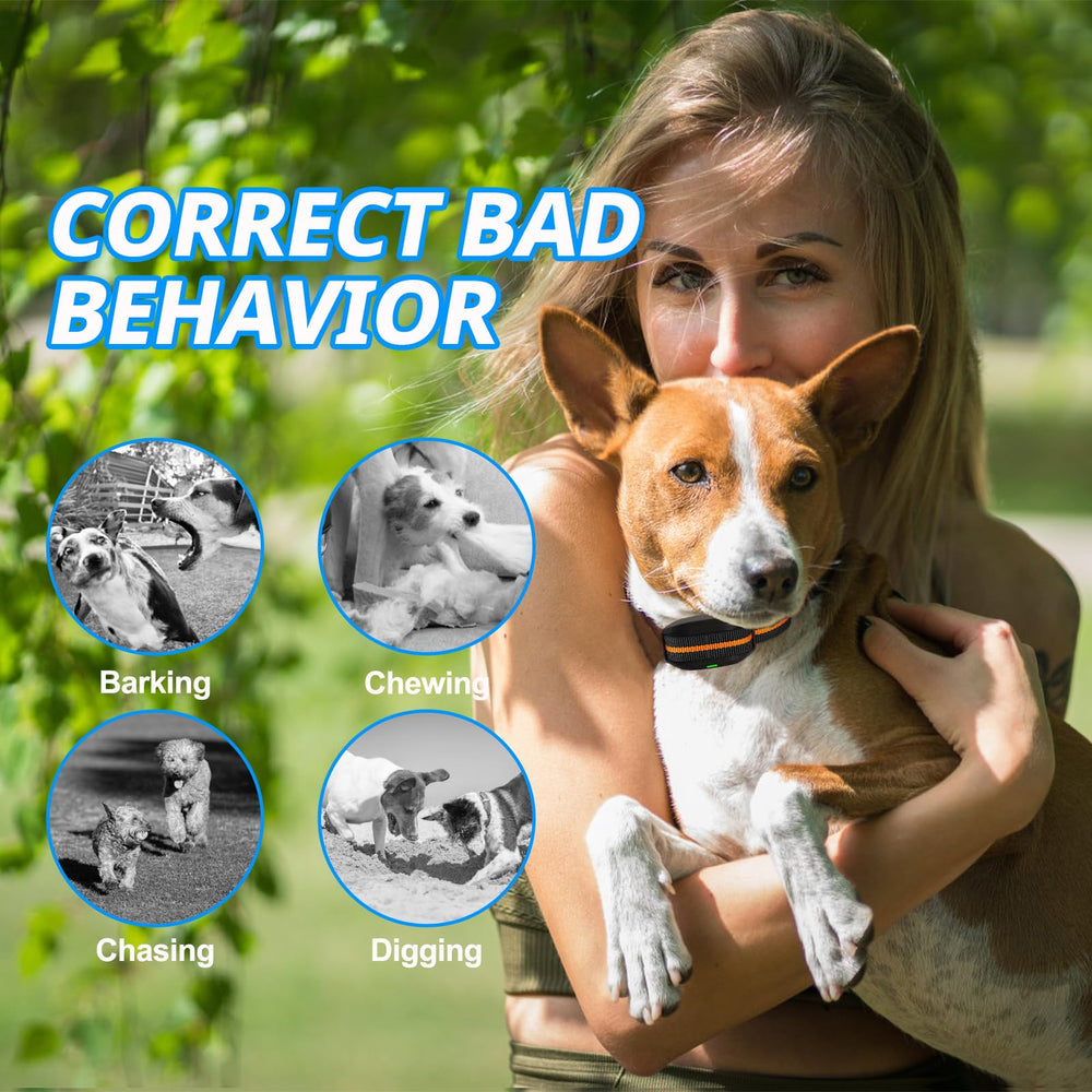 MAISOIE ultra-small dog shock collar lightweight build reduces strain during training