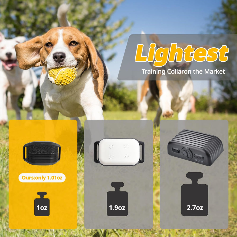 MAISOIE ultra-small dog shock collar remote control for versatile indoor and outdoor training