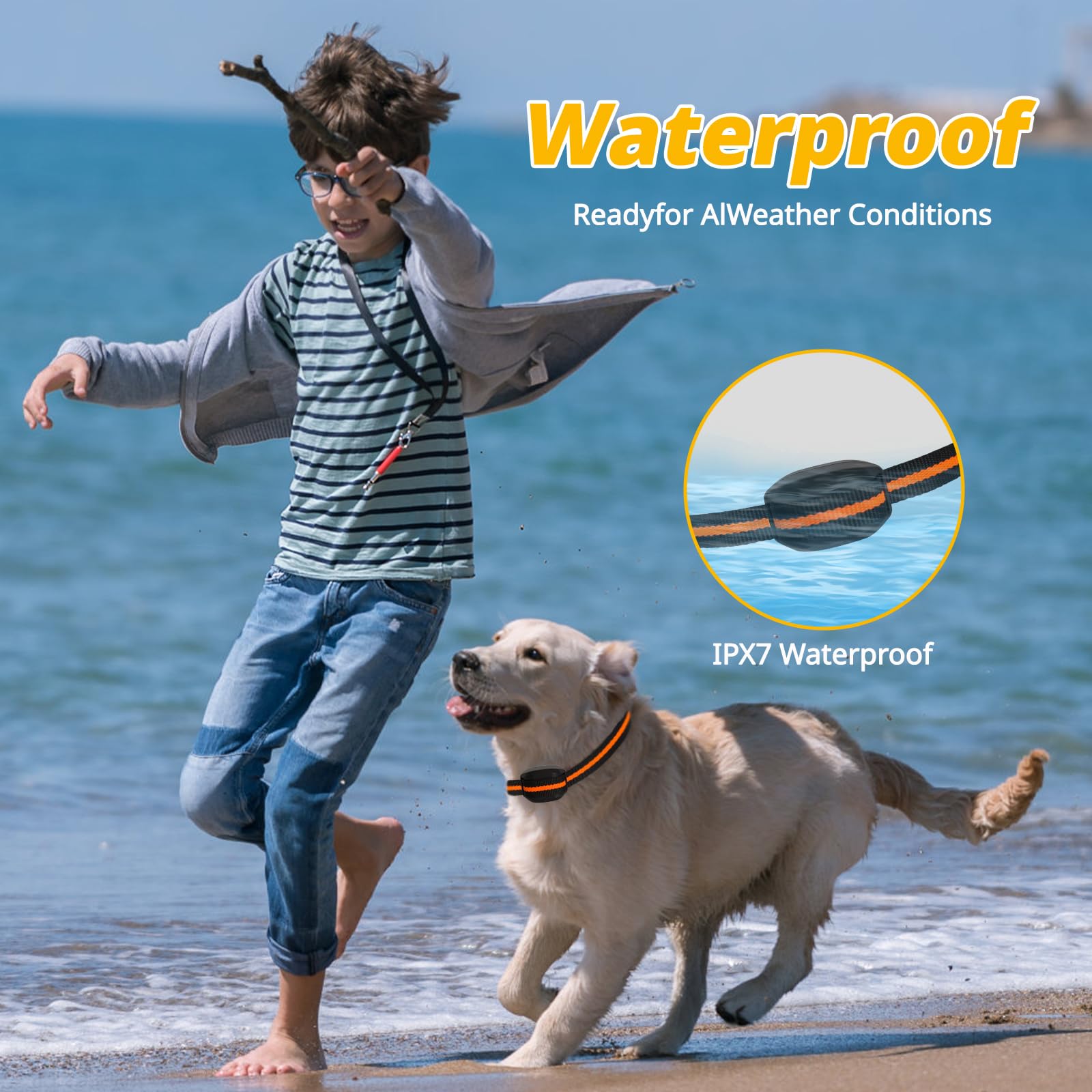 MAISOIE ultra-small dog shock collar USB rechargeable battery saves time between sessions