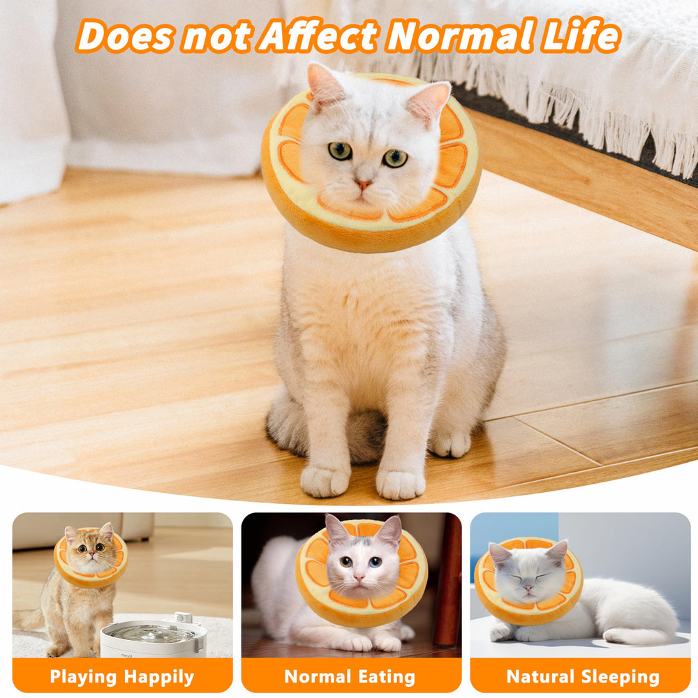 Maiiu Soft Cat Cone Collar after-surgery use shows gentle protection and comfort