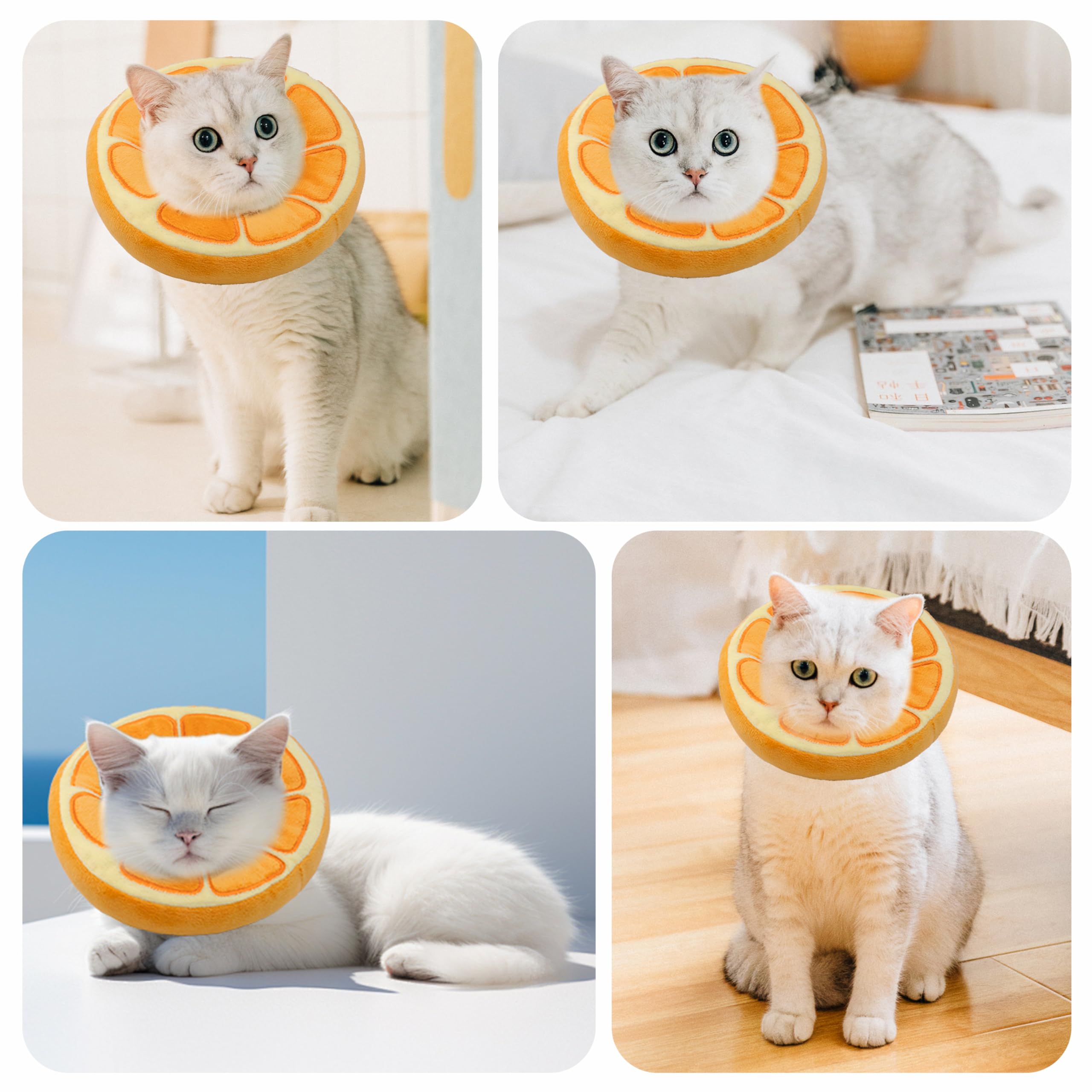 Maiiu Soft Cat Cone Collar worn on orange-small cat for clear visibility