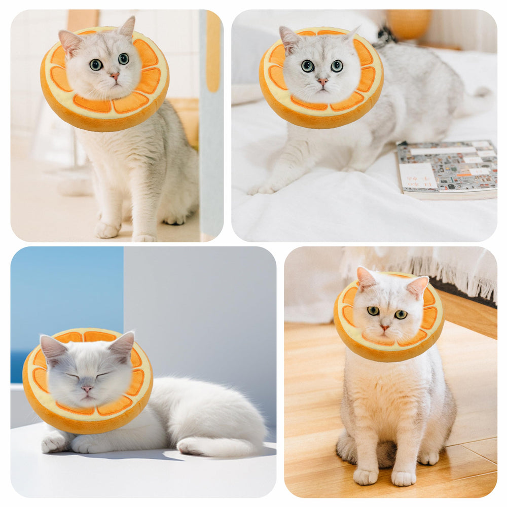 Maiiu Soft Cat Cone Collar worn on orange-small cat for clear visibility