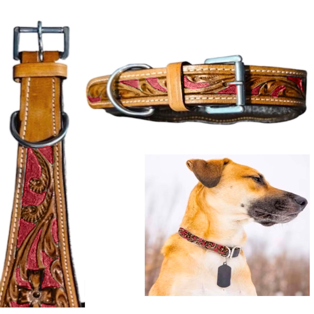Majestic Ally leather dog collar side view highlights adjustable padded fit for secure leash control
