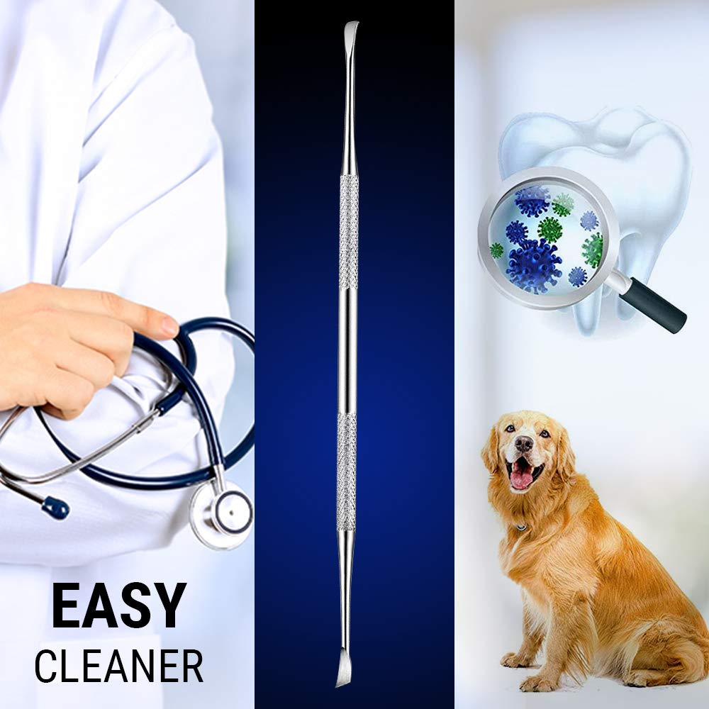 Majestic Bombay pet dental tool at the gumline for targeted cleaning
