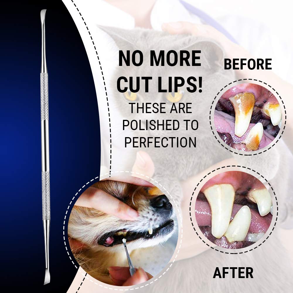 Majestic Bombay stainless-steel dental tool for rust-free pet care