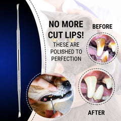 Majestic Bombay stainless-steel dental tool for rust-free pet care