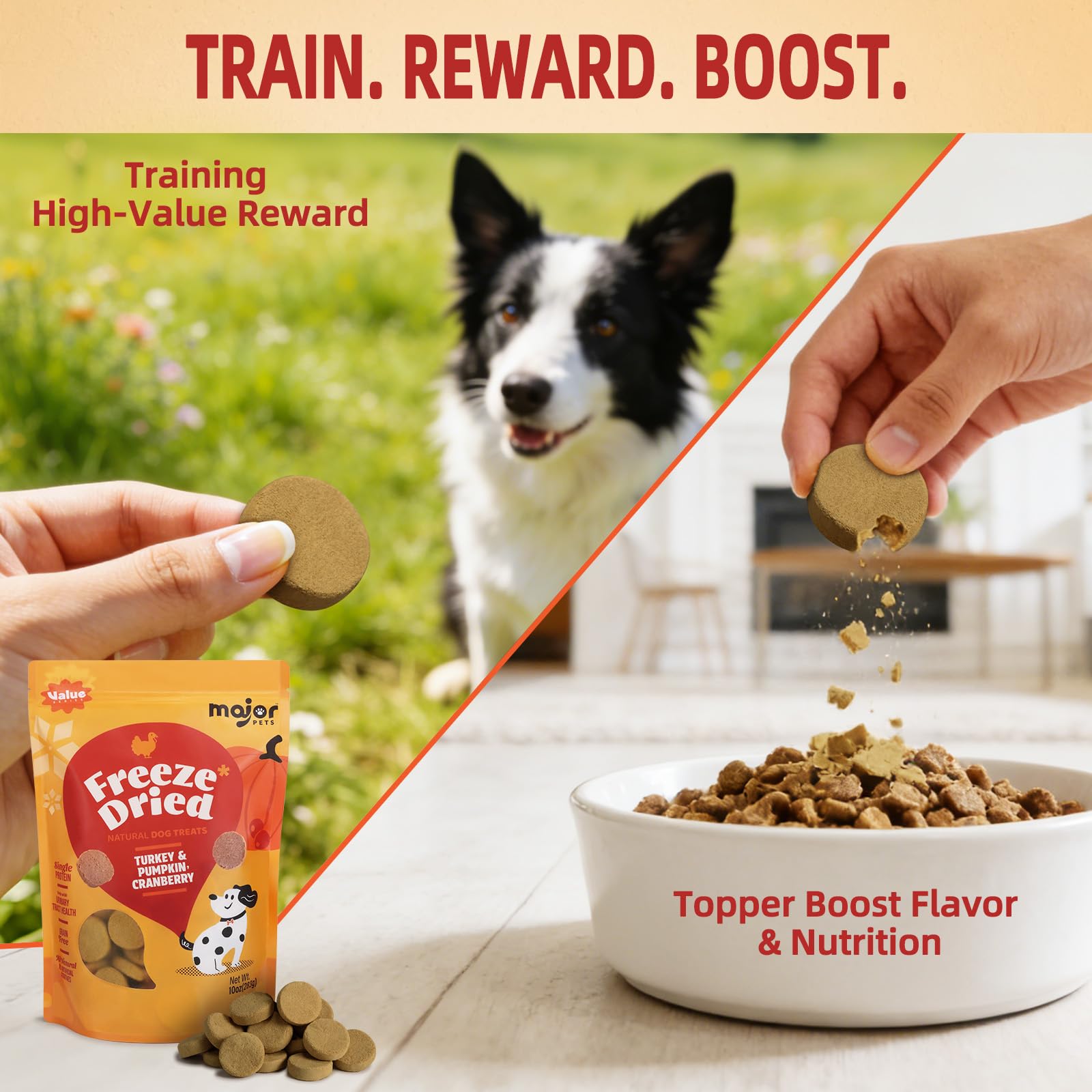 MAJOR PETS digestible turkey-pumpkin-cranberry blend supports gut comfort