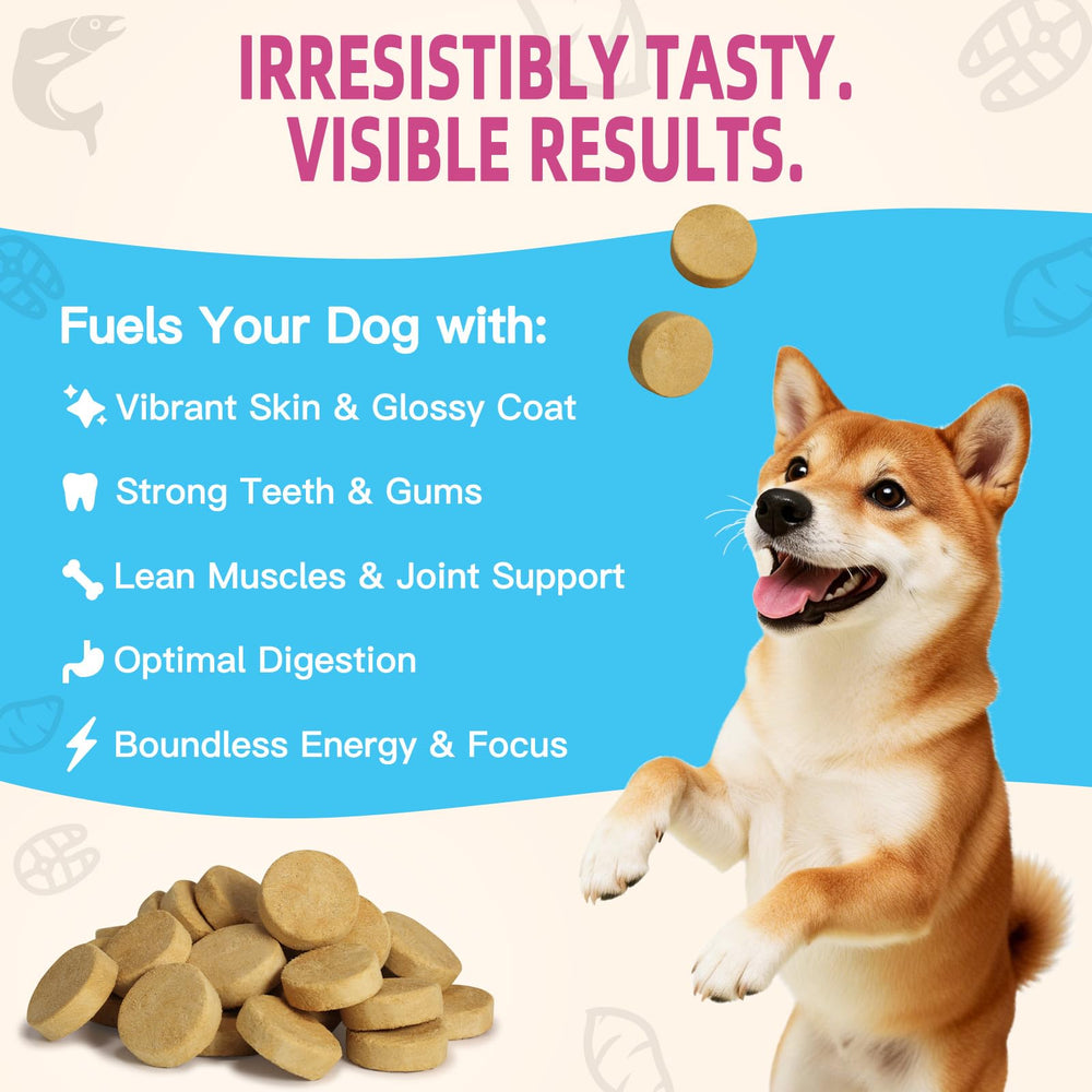 MAJOR PETS Freeze Dried Dog Treats for training rewards—tiny rounds spark motivation.