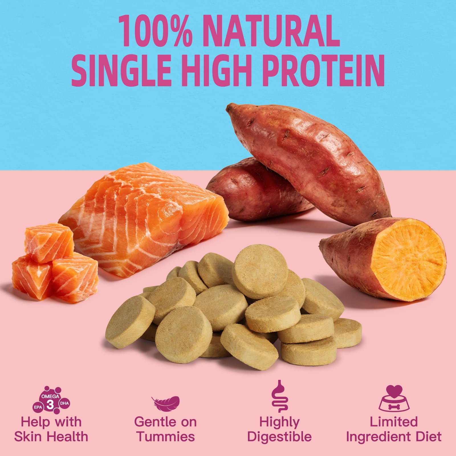 MAJOR PETS Freeze Dried Dog Treats round bites closeup—salmon flavor.