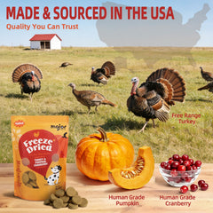 MAJOR PETS meal topper on kibble flavor boost to entice eating
