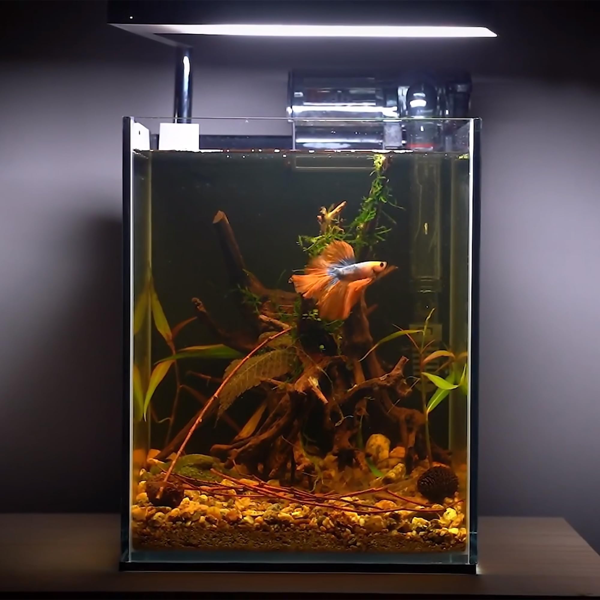 majoywoo aquarium decor supports durable, long-lasting natural accents underwater.