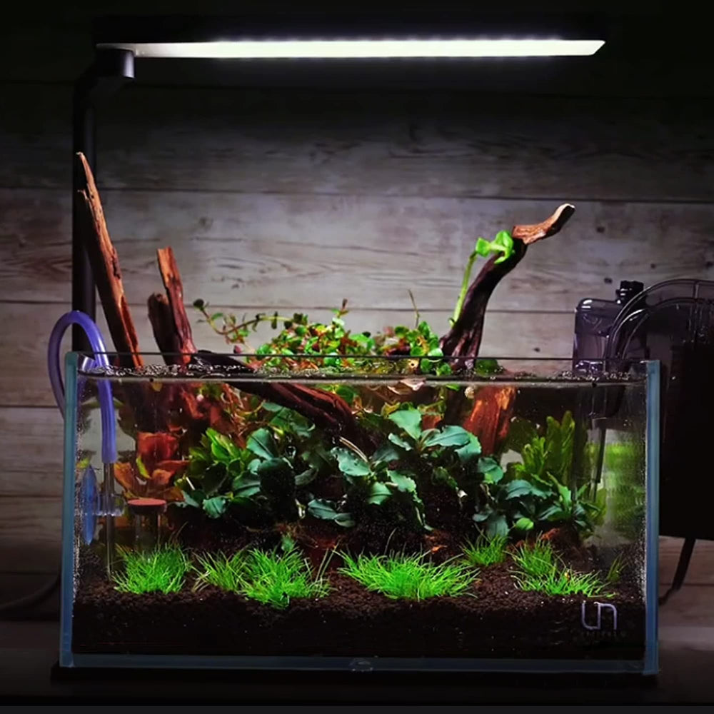 majoywoo madera deriva coralina, decoración duradera para acuarios y terrarios