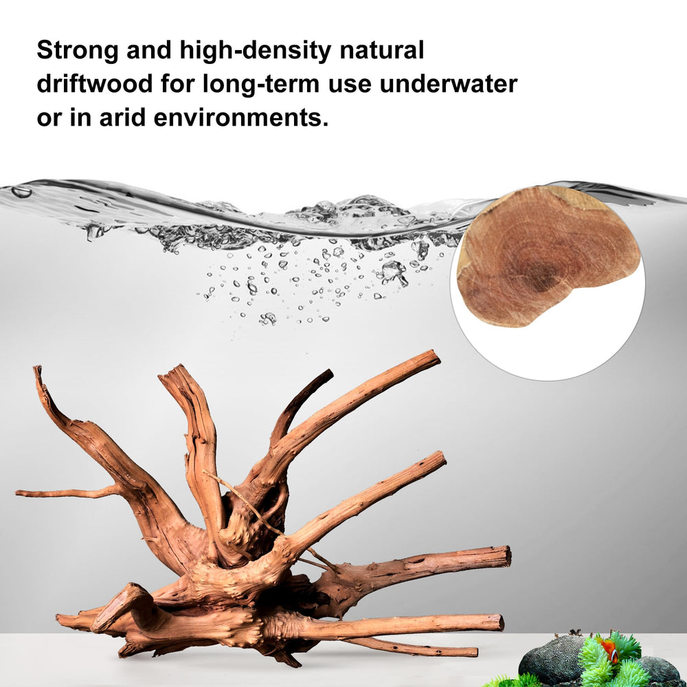 majoywoo driftwood aquarium branch 11-14 inch enhances moss trees and natural landscape
