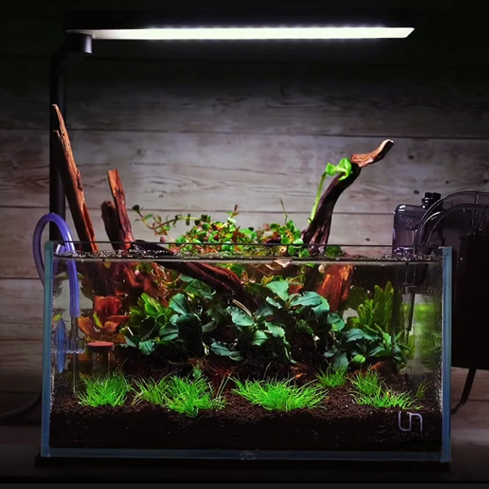 majoywoo driftwood branch underwater decor ideal for small tanks and dry terrariums