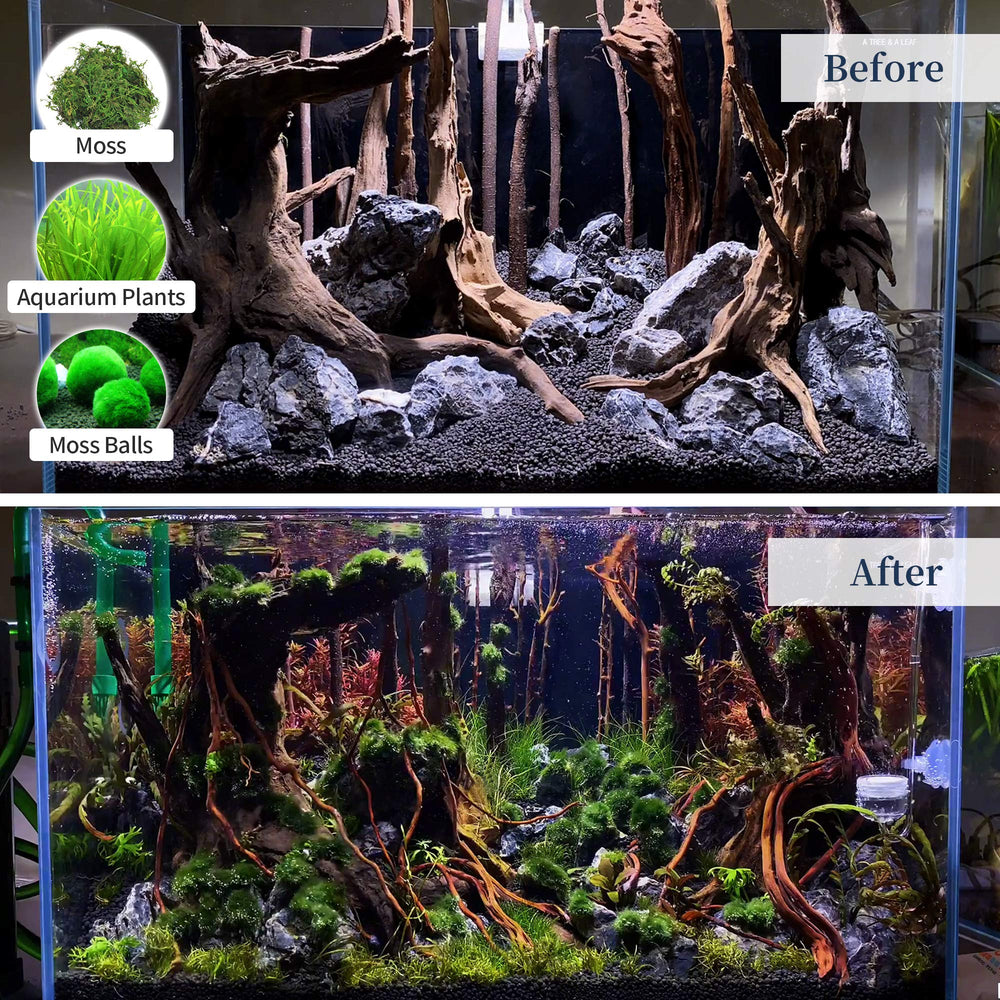 Majoywoo natural driftwood suits reptile terrariums as climbing decor.