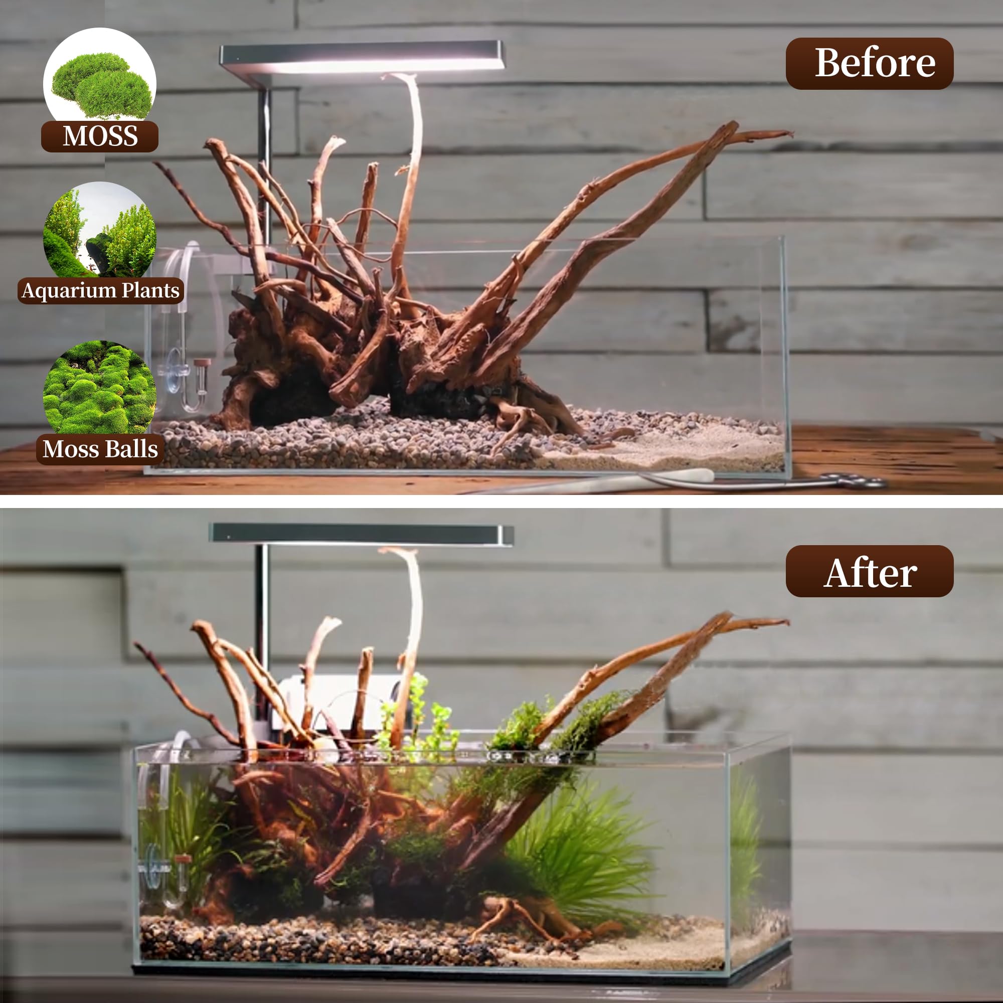 Majoywoo driftwood branch suits various tank sizes and setups