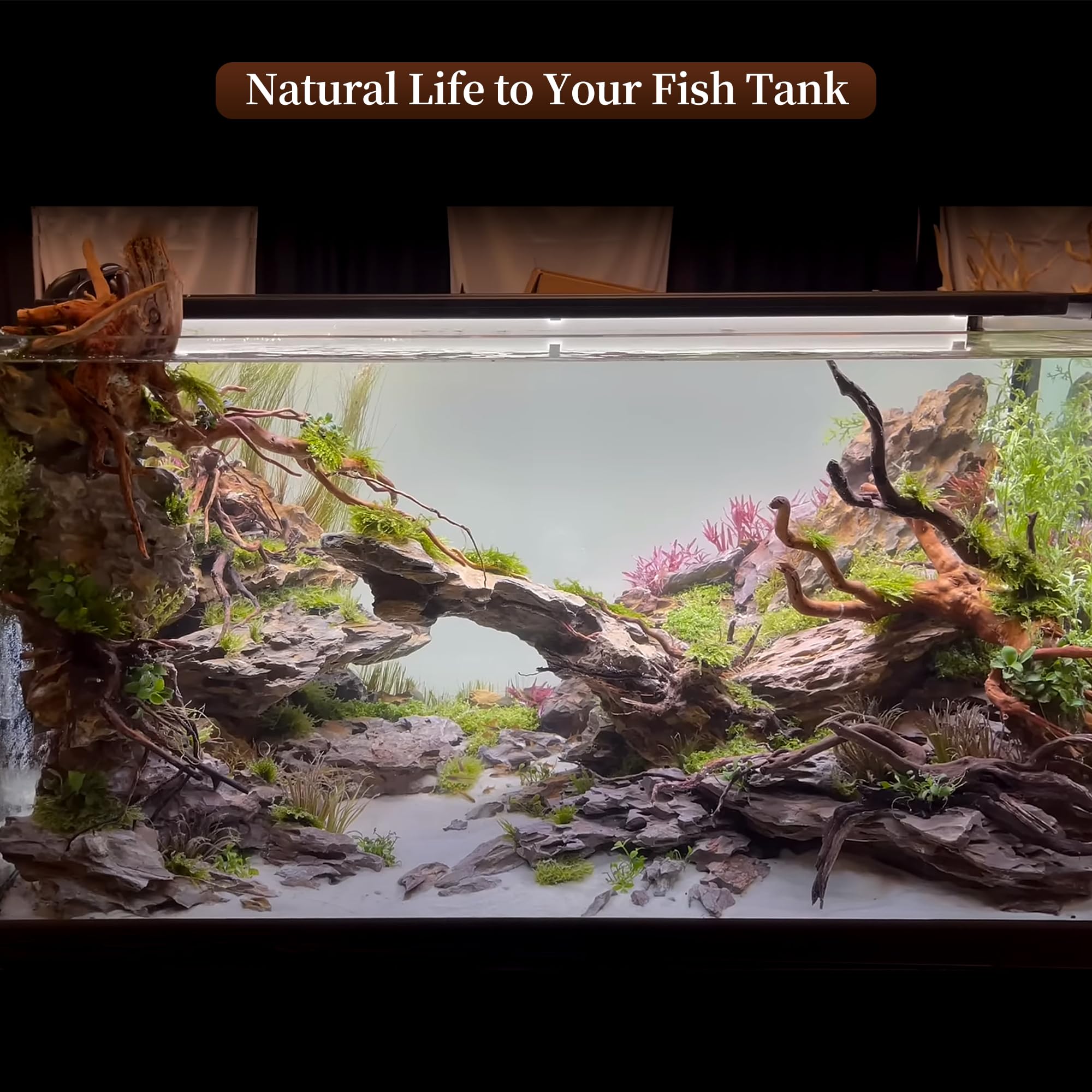 Majoywoo 7-11 inch driftwood is long-lasting underwater and in dry environments