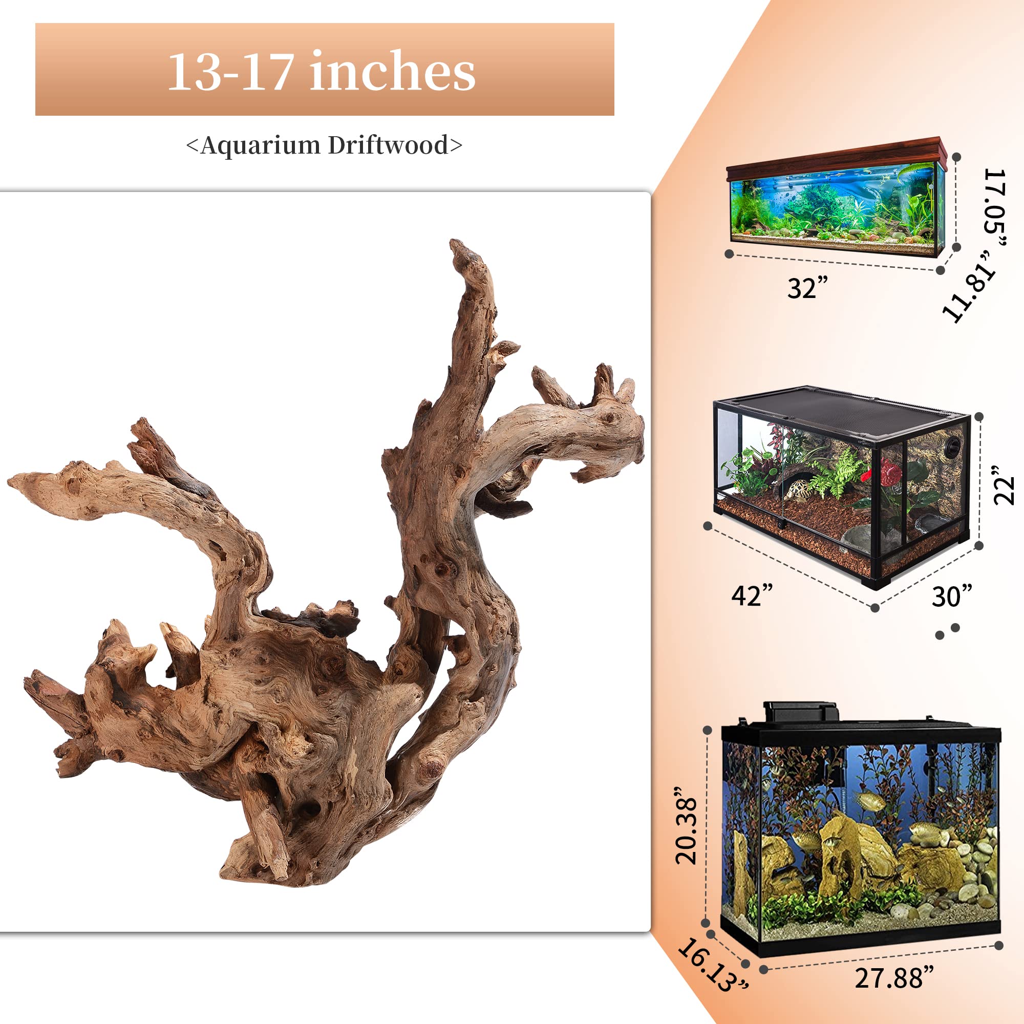 majoywoo driftwood for terrariums provides a sturdy natural perch for reptiles and moss growth.