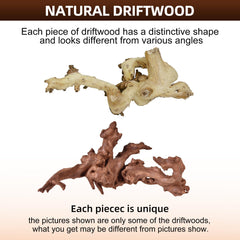 majoywoo driftwood coral aquarium branch close-up shows texture and organic design
