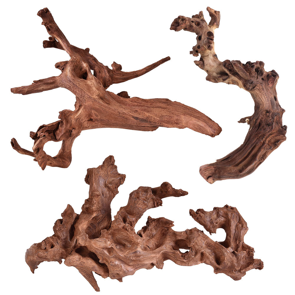 Majoywoo natural coral driftwood branch 6-10 inch offers natural hiding spots for fish.