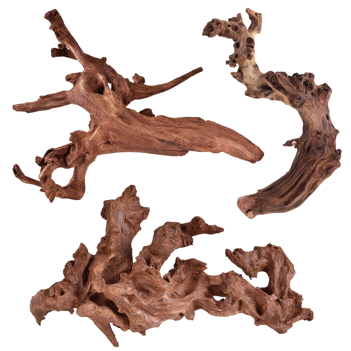Majoywoo natural coral driftwood branch 6-10 inch offers natural hiding spots for fish.