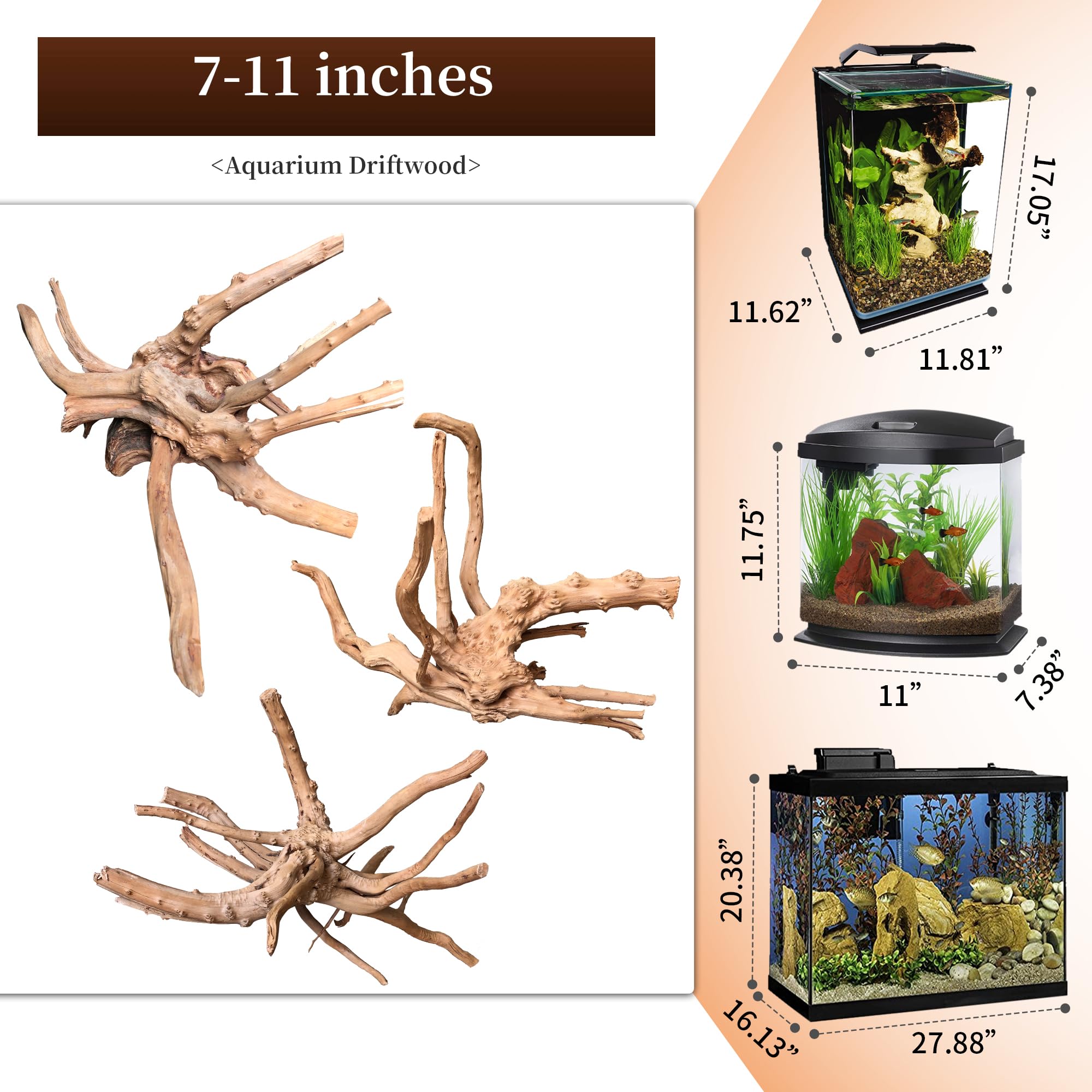 Majoywoo spider wood branch provides climbing structure for small aquatic creatures
