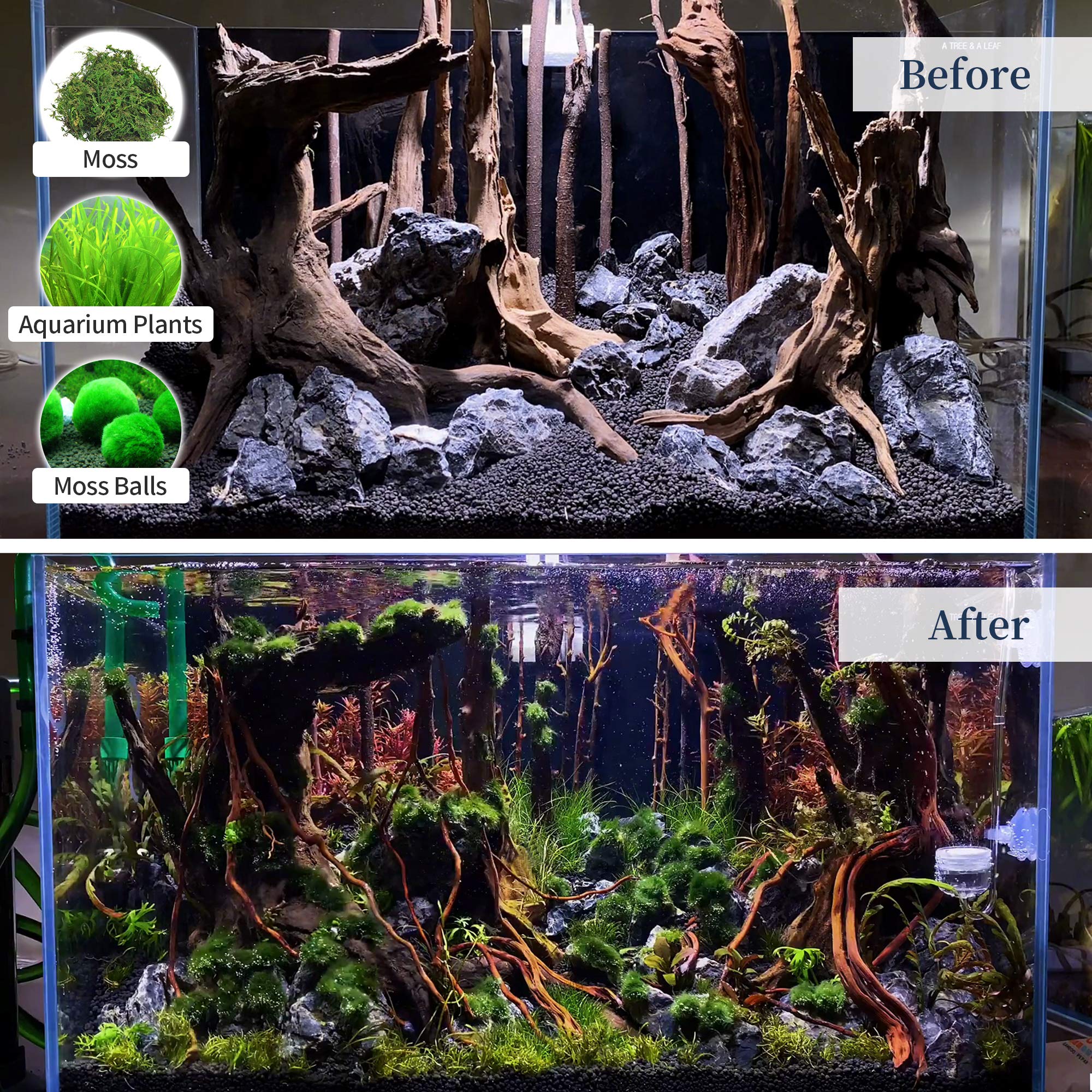 Majoywoo two-piece driftwood set for flexible aquarium or reptile decor layouts.